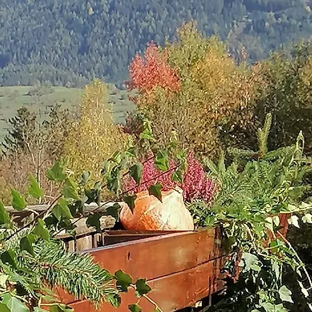 Riedbach * Innsbruck