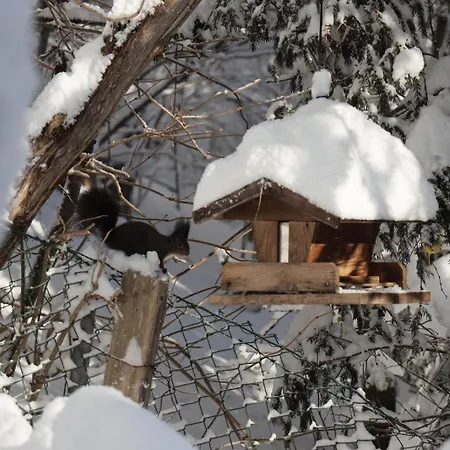 Riedbach * インスブルック