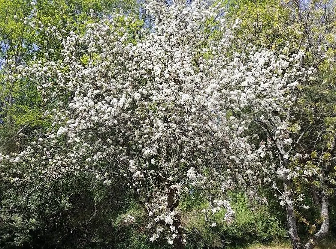 Apartment Riedbach *