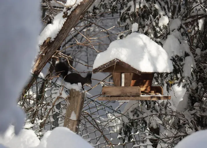 Riedbach * Innsbruck
