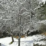 Riedbach إنسبروك