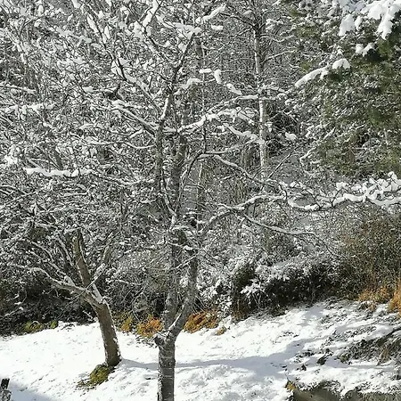 Riedbach إنسبروك